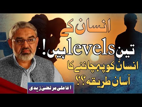[Clip] Insan Kay 3 Levels Hen | Molana Ali Murtaza Zaidi | Urdu