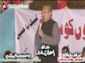[12 Jan 2013] Karachi Dharna - Speech Arif Alvi - Pakistan Tehreek Insaaf - Urdu